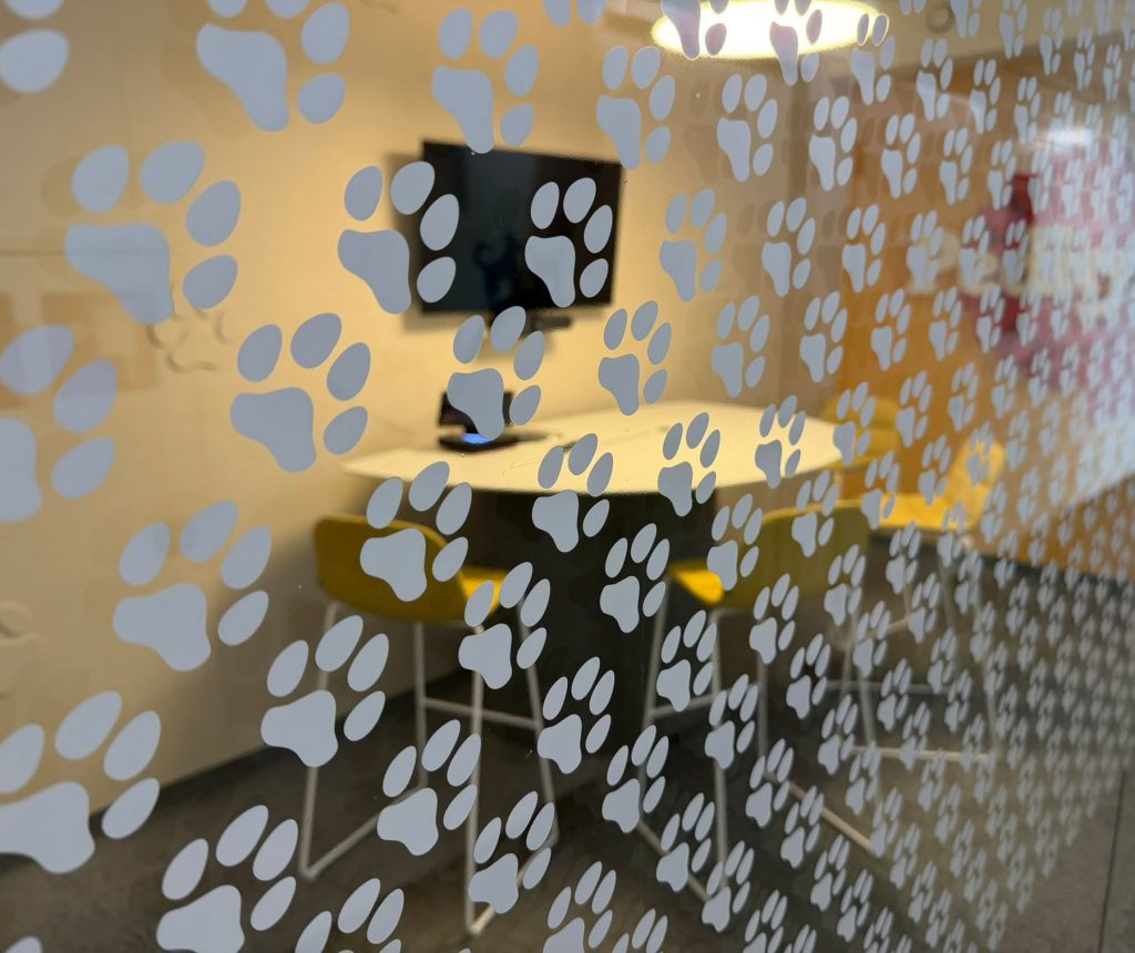 Office MARS Austria – Projektfotografie von Sebastian Philipp | Ing. Silvia Schneider